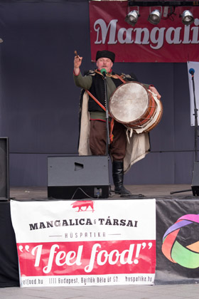 Mangalica Fesztivál 2013