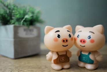 A disznó mint démonizált állat