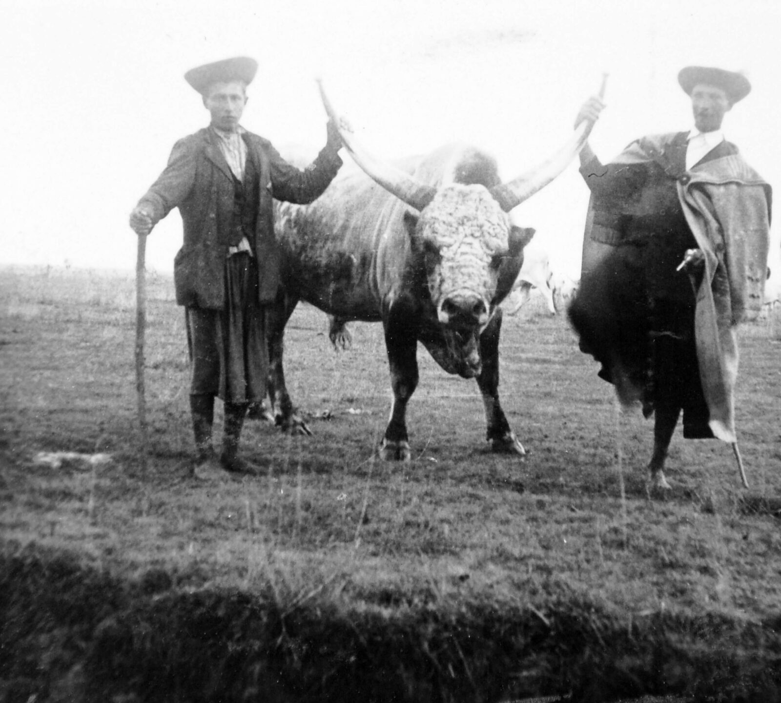 Fortepan / Gyöngyi